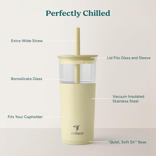 Aspen 20oz Vacuum Insulated Glass Tumbler