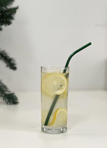 10 Pcs Stainless Steel Straws