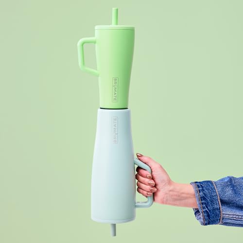 Era 20 oz Tumbler with Handle and Straw
