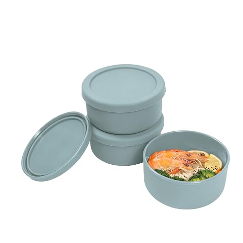 24 fl oz Silicone Food Storage Container with Lid (3 Count)