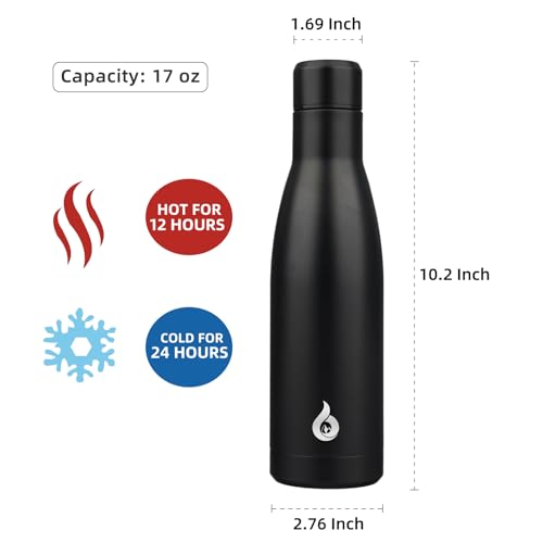 17 oz Insulated Thermal Metal Water Bottle