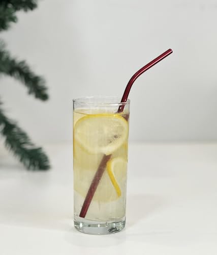 10 Pcs Stainless Steel Straws