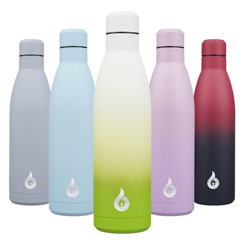 25 oz Insulated Stainless Steel Water Bottle