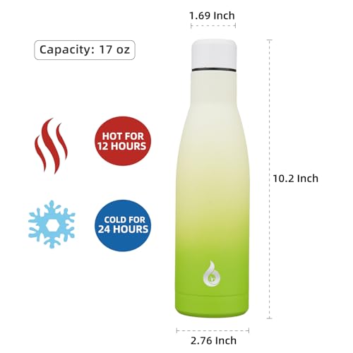 17 oz Insulated Thermal Metal Water Bottle