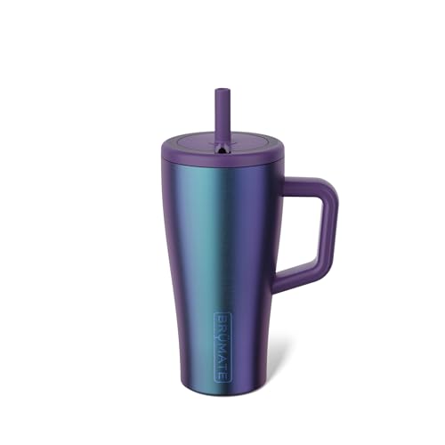 Era 20 oz Tumbler with Handle and Straw