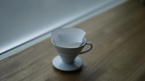 V60 Paper Coffee Filter (600 Count)