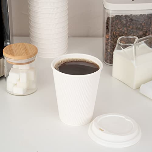 12 Ounce Disposable Cups