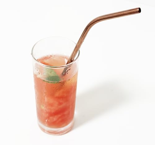 10 Pcs Stainless Steel Straws