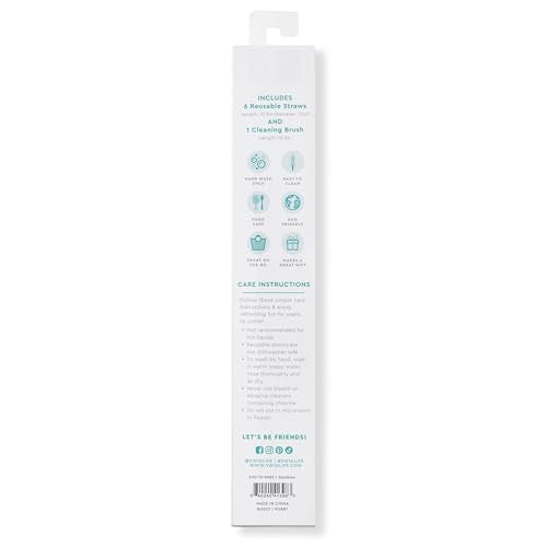 Reusable Straw Set with Cleaning Brush (6 Count)