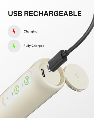 Rechargeable 2