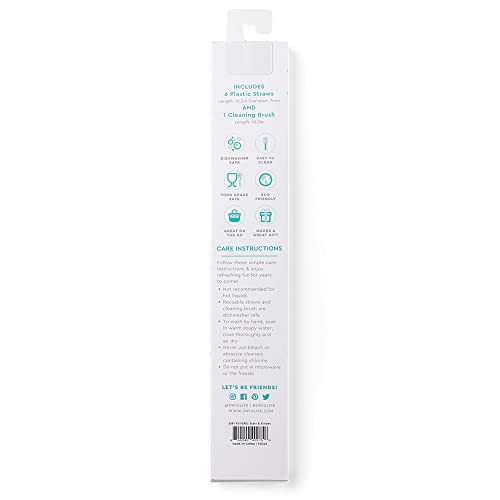Reusable Straw Set with Cleaning Brush