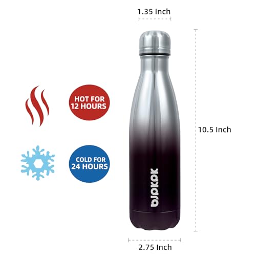 17 oz Insulated Water Bottle