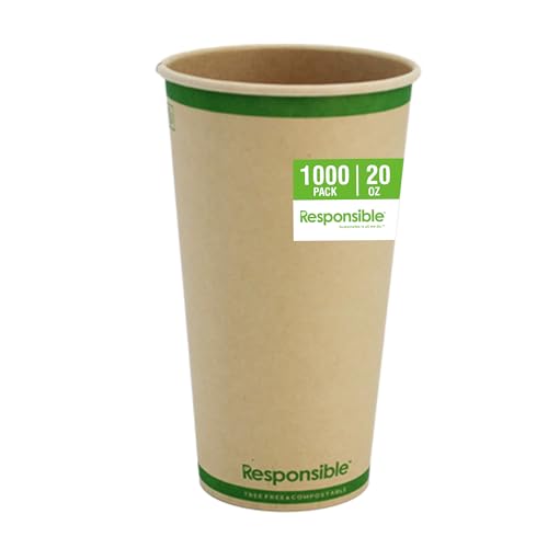 20 oz Paper Hot Cups (20 Count)