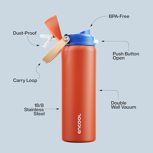 Insulated Water Bottle with Straw