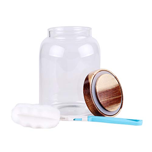 Glass Storage Jar