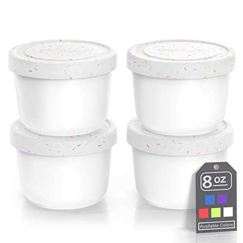 8oz Mini Ice Cream Containers (4 Count)