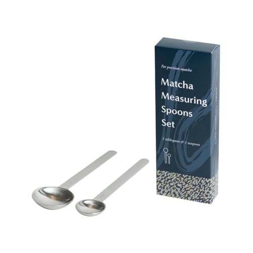 Stainless Steel Measuring Spoon (2 Count)