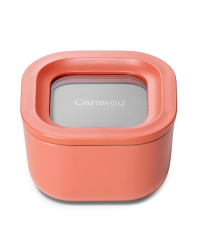 Mini Square Food Storage Container