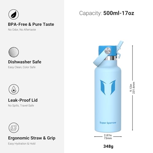 Insulated Water Bottle