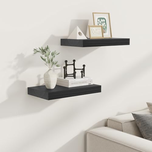 9 Inch Deep Black Floating Shelves (2 Count)