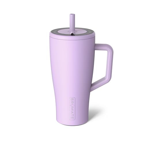 Era 30 oz Tumbler with Handle and Straw