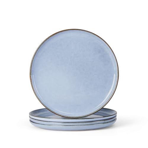 4 Piece Stoneware Dinner Plates Set