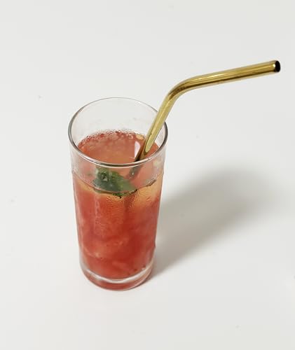 10 Pcs Stainless Steel Straws