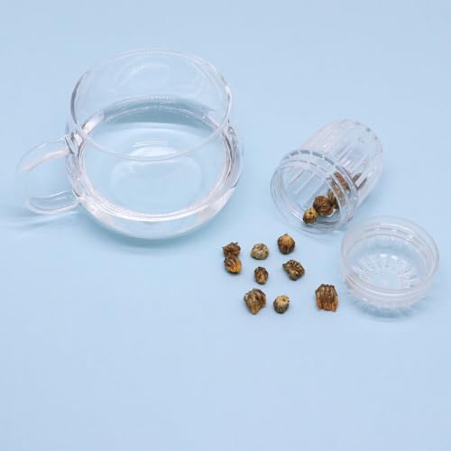 4Pcs Fruit Infuser Insert for Wide Mouth Water Bottles (4 Count)