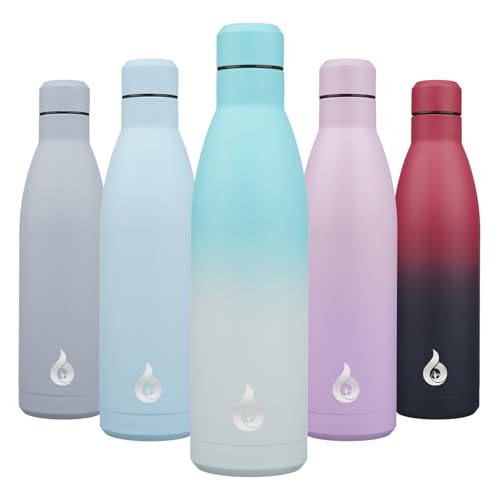 25 oz Insulated Stainless Steel Water Bottle