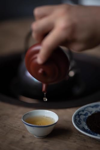 120cc chinese Yixing Handmade Zisha Da Hong Pao Clay teapot ""Bian Pan"" Gongfu Tea Pot teaworldsupply