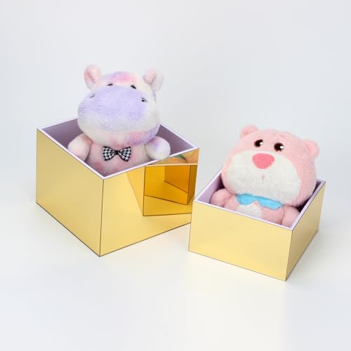 3 Pcs Acrylic Display Nesting Riser Stand