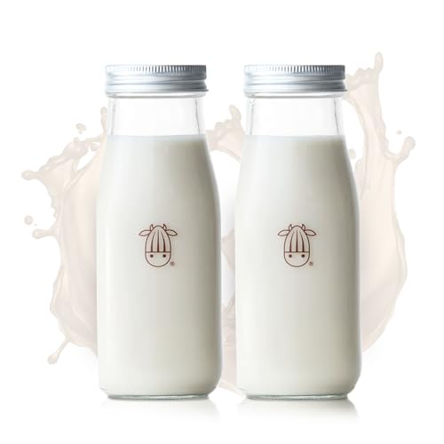 300ml Glass Jar with Rust (2 Count)