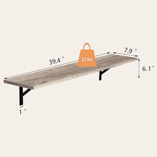 Long Wall Shelves (2 Count)