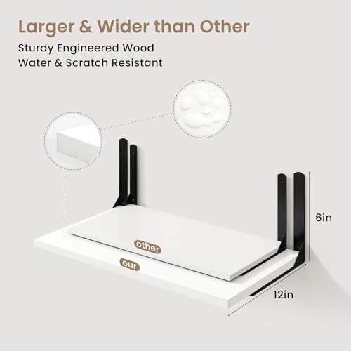 Floating Shelves for Wall (2 Count)