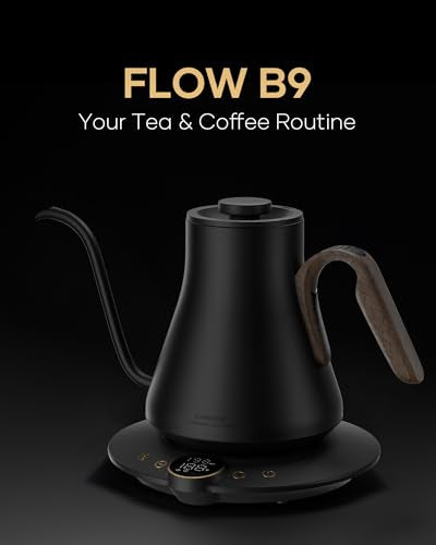 Gooseneck Electric Kettle