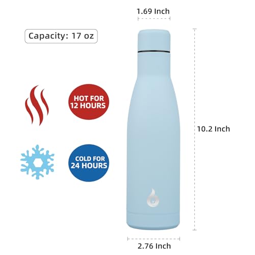 17 oz Insulated Thermal Metal Water Bottle