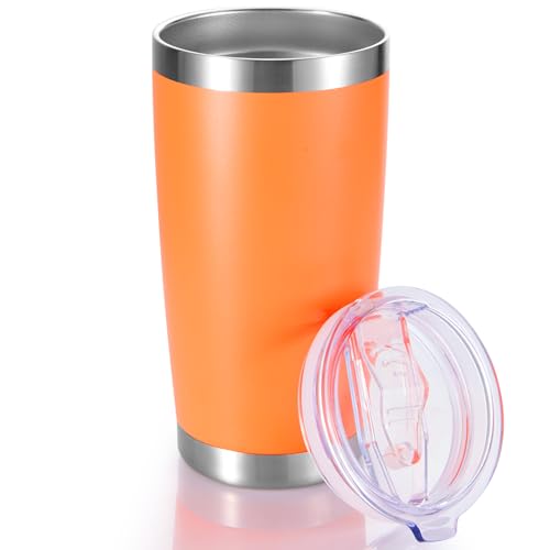 20 oz Tumblers Stainless Steel Tumbler with Lid