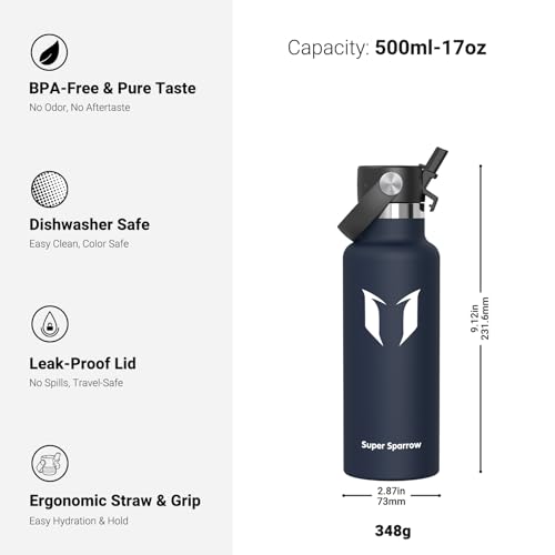 Insulated Water Bottle