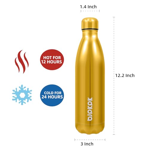 25 oz Insulated Water Bottle