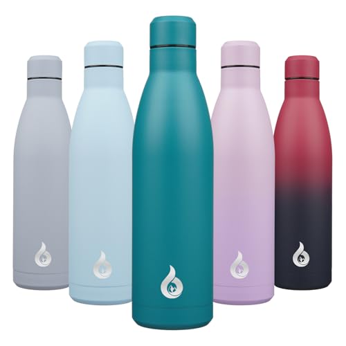 25 oz Insulated Stainless Steel Water Bottle
