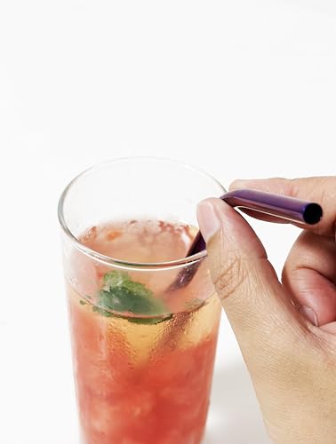 10 Pcs Stainless Steel Straws (10 Count)
