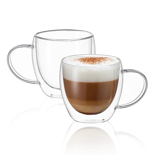 Double Wall Glass Coffee Mugs with Handle (2 Count)