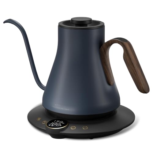 Gooseneck Electric Kettle
