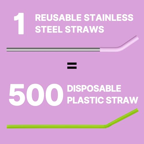 Metal Straws Reusable for 40 oz Simple Modern