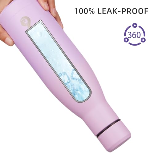17 oz Insulated Thermal Metal Water Bottle