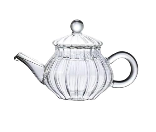 Mini Tea Pot Glass Teapot Small Tea Kettle for One person use