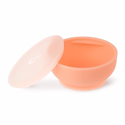 Silicone Baby Bowl with Suction & Lid for Toddlers