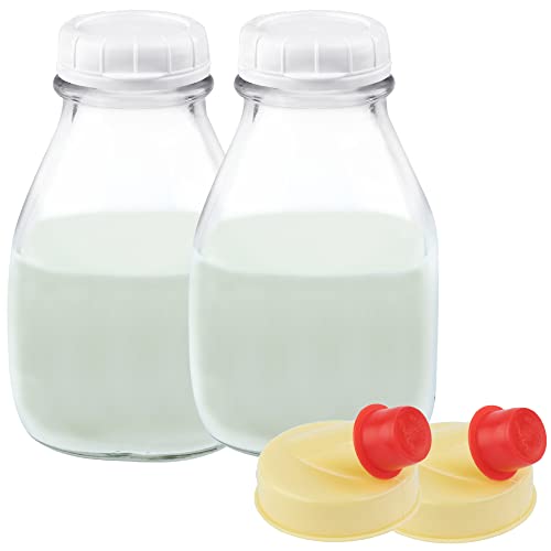 16 Oz Glass Milk Bottle with Lid (2 Count)