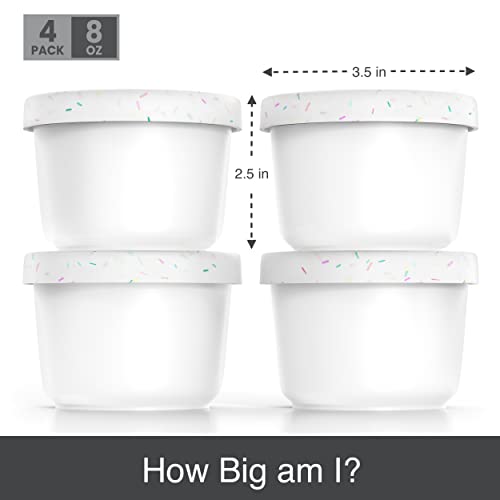 8oz Mini Ice Cream Containers (4 Count)