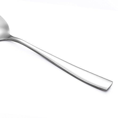 12 Piece Stainless Steel Teaspoon (12 Count)